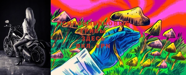 марки lsd Балабаново