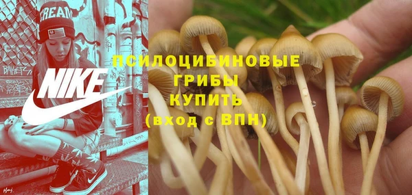 марки lsd Балабаново
